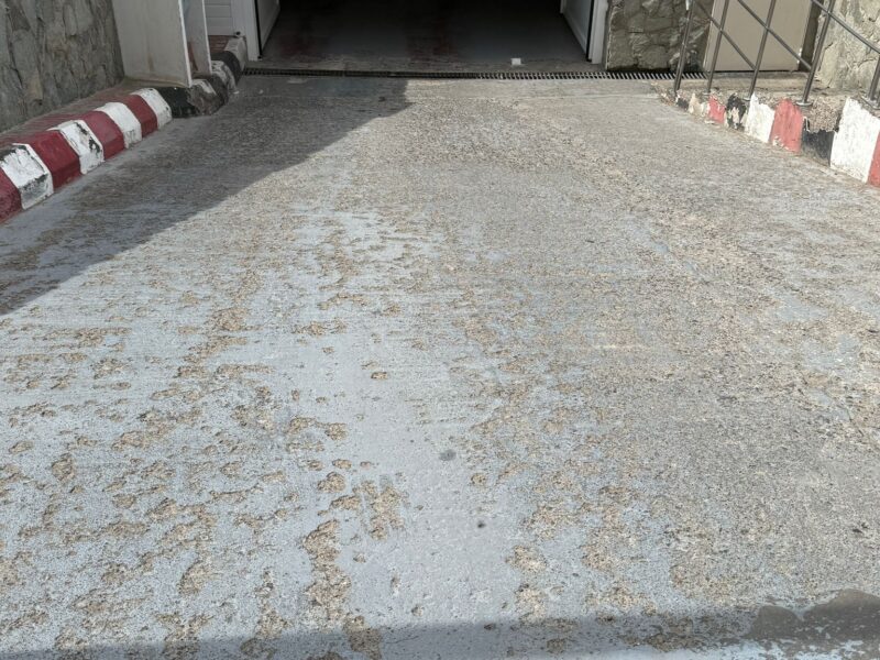 PHOTO-2025-10-15-13-31-12 (1)